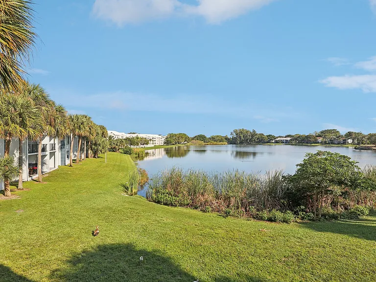 ARIUM Cypress Lakes — Photo 18