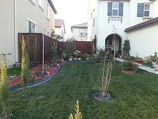 3rd image of 337 Craftsman Dr