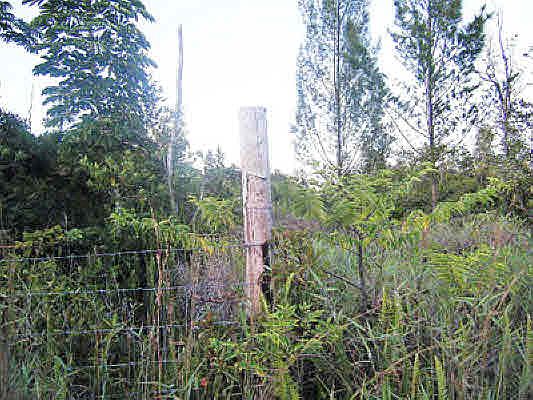 4th image of 15-1525 10th Ave Lot 1690