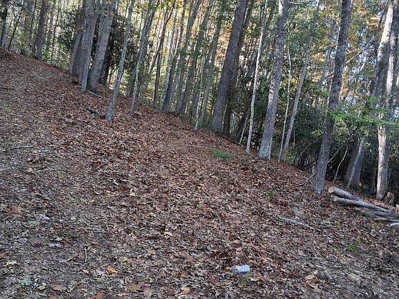 3rd image of 270 S Trailside Ln