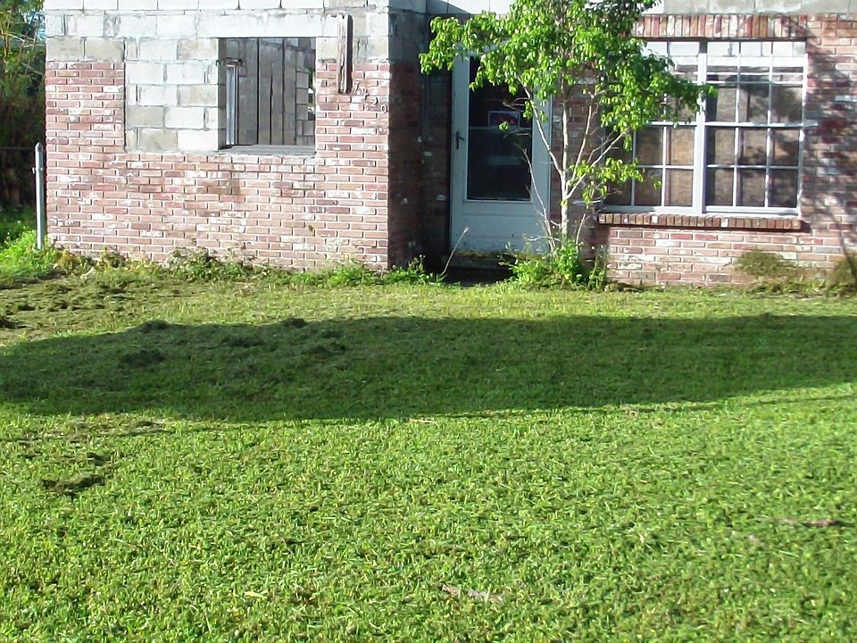 2nd image of 7420 Patrician Pl