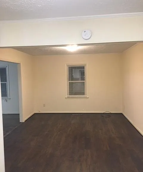 55 Cox St #B — Photo 23