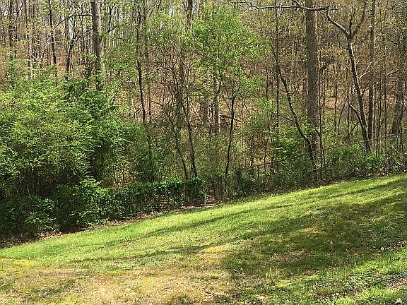 View of back yard