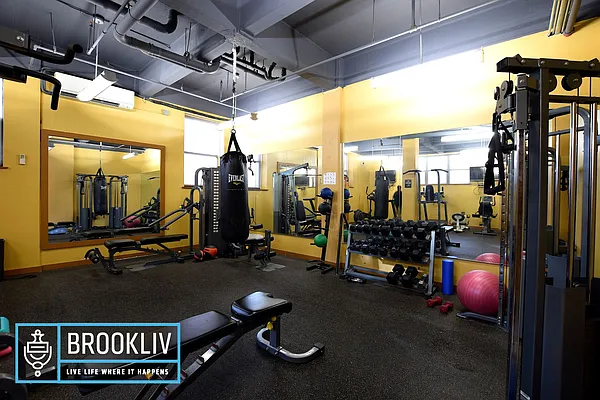 Rented by null | media 37