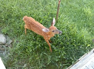 2375 Rough And Ready Rd, Rexville, NY 14877