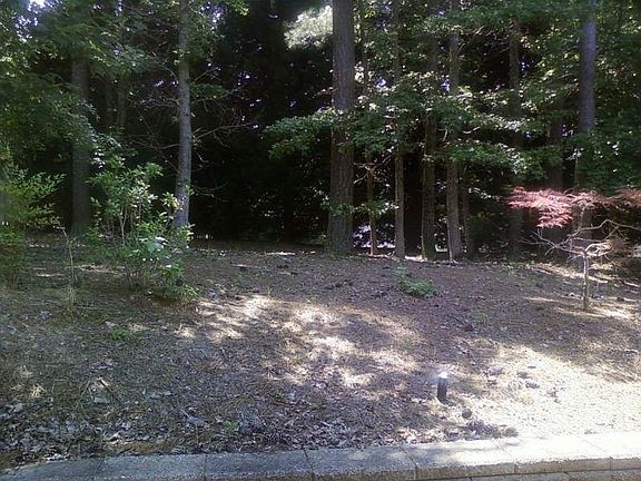 Very private large wooded back yard