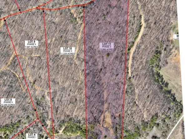 0 Mill Creek Rd Lot 11, Sunbright, TN 37872