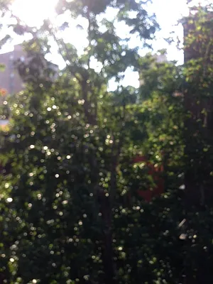 Rented by Beekman Street Realty | media 39