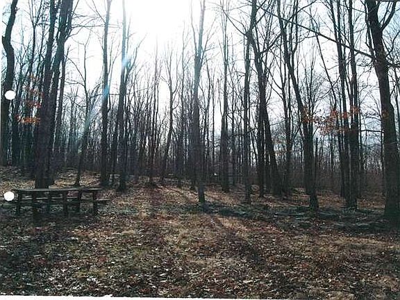 3rd image of 93 W Hall Ln
