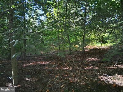 419 Cokesbury Rd, Port Deposit, MD, 21904