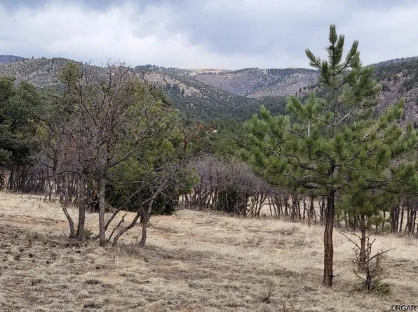 37 Bird Point Dr, Cotopaxi, CO 81223