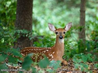 LOT 11 Wild Cherry Ln, Tobyhanna, PA 18466