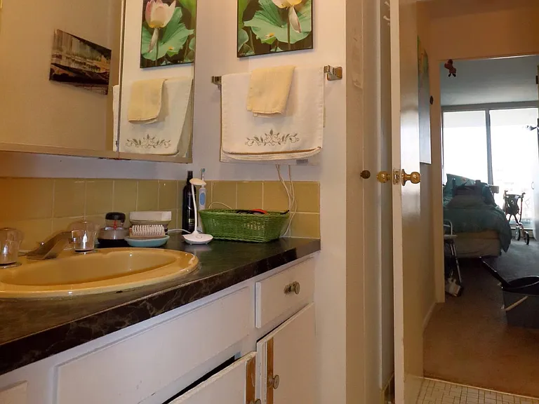 6033 N Sheridan Rd #24M — Photo 14