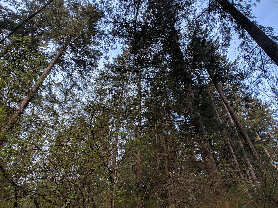 1st image of 6001 6th Ave SE #A