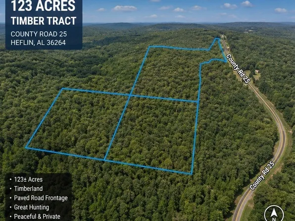 0 County Road 25, Heflin, AL 36264