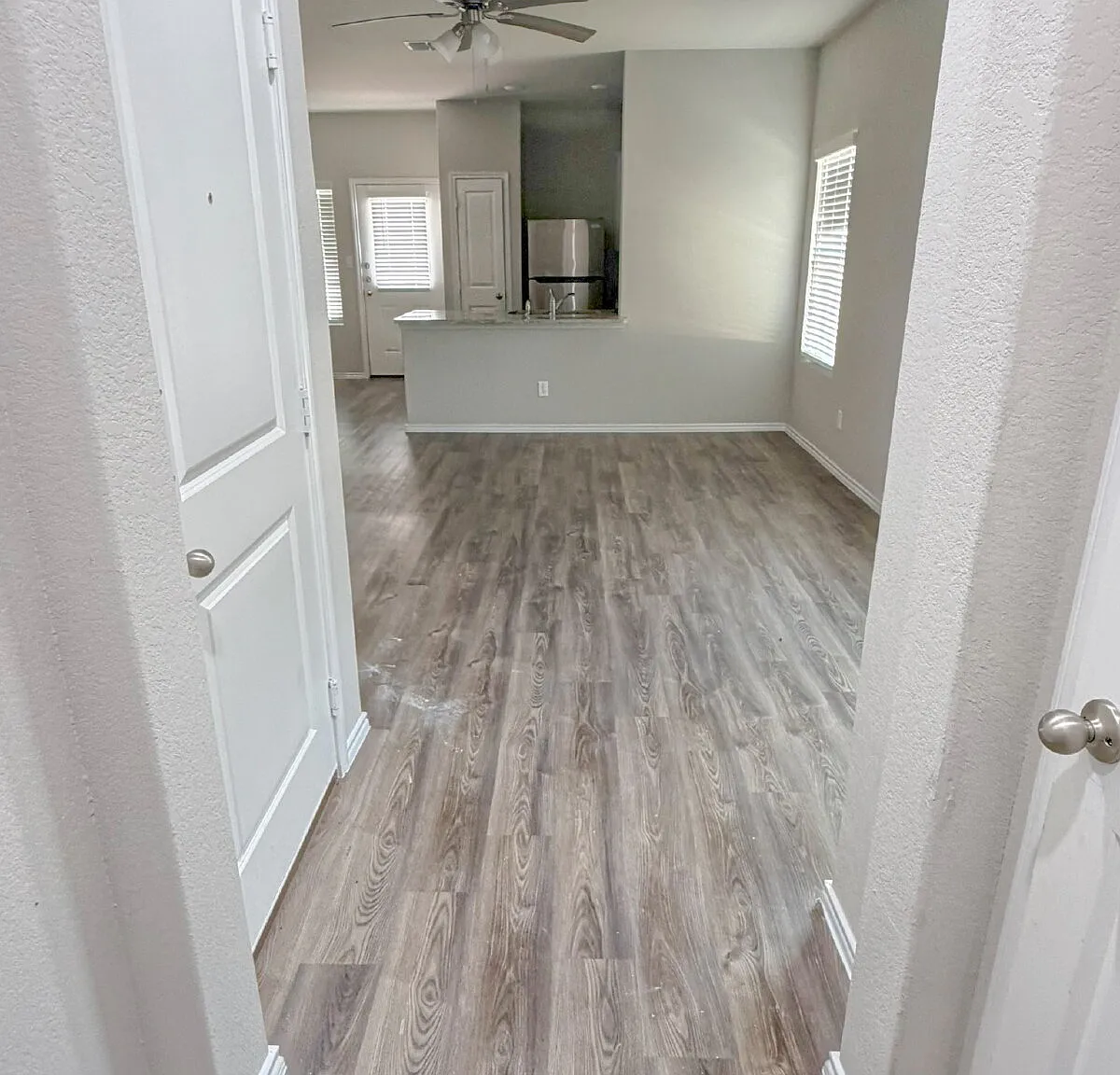 Studio, 1251 sqft, $1,450 — Photo 2
