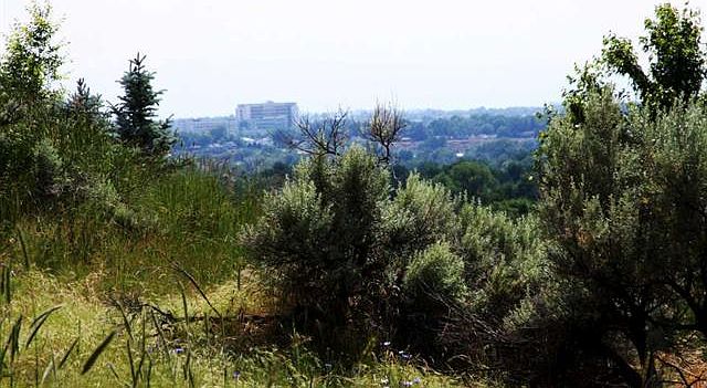 1st image of W Parkhill Dr