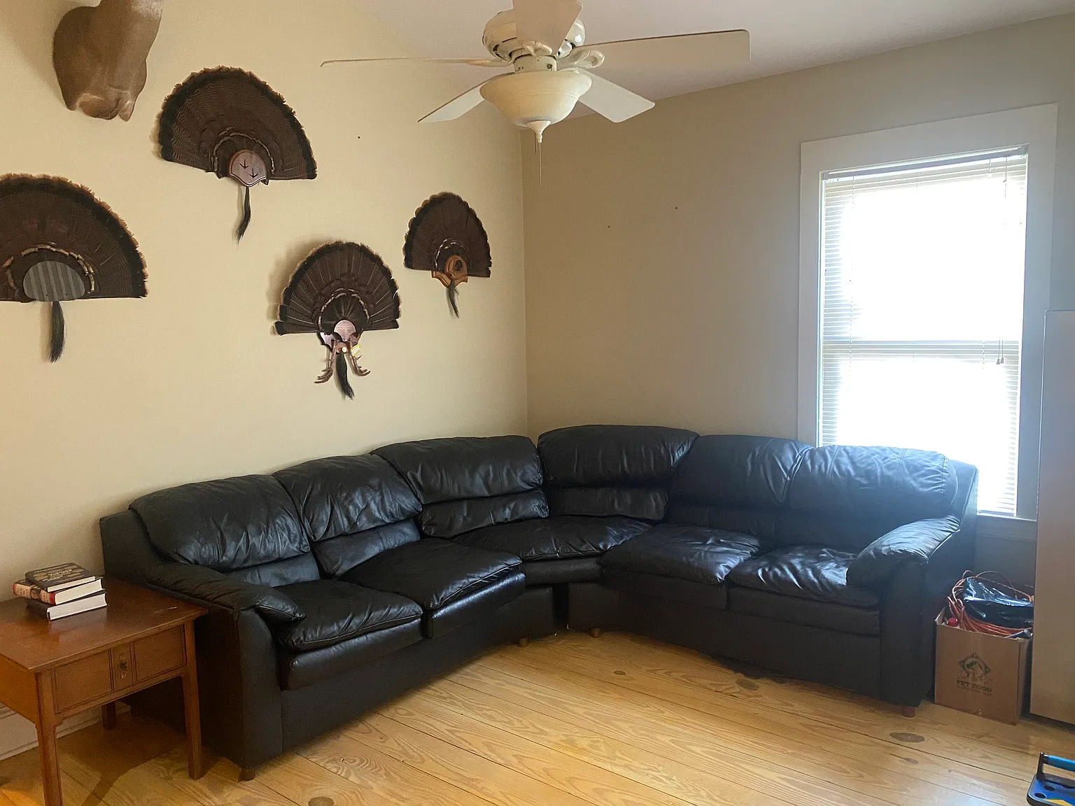 2 bed, 1000 sqft, $1,200 — Photo 3