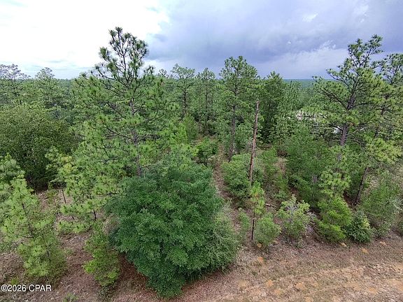 3rd image of LOT 24 Newmoon Dr
