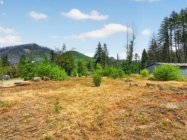 51790 Echo St, Blue River, OR 97413