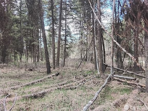 5th image of 44 Trapline Loop Road