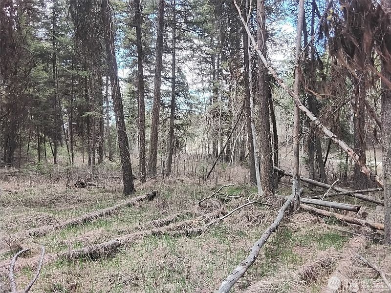 5th image of 44 Trapline Loop Road