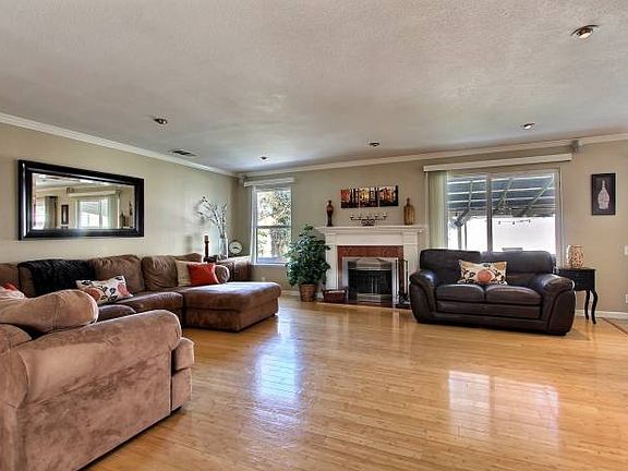 Living Room Windows