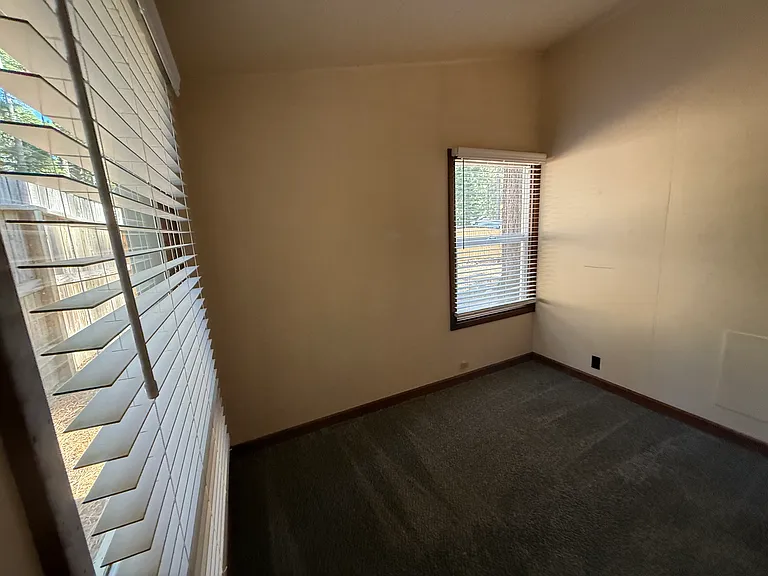 307 Pineland Dr — Photo 45