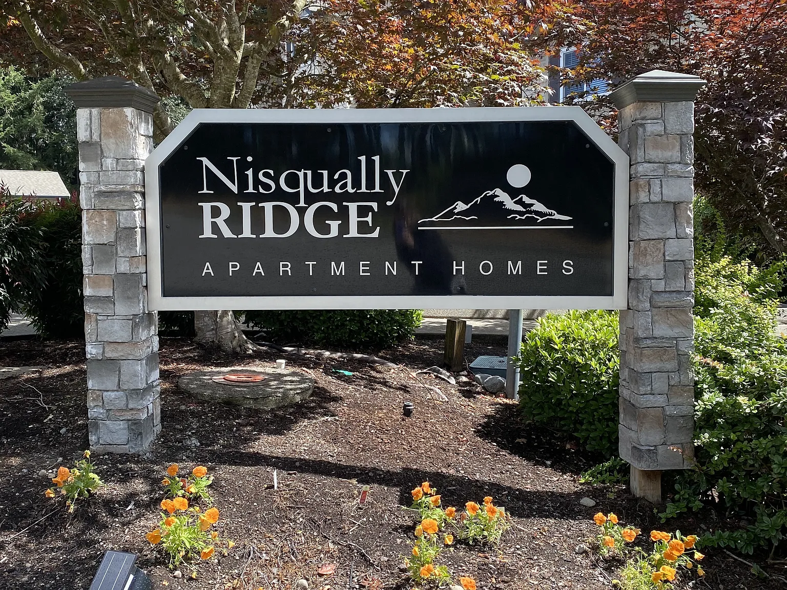 Nisqually Ridge — Photo 1