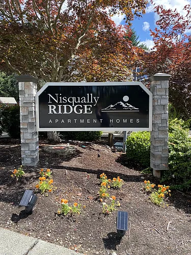 Nisqually Ridge Photo 1