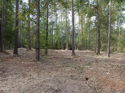 3125 Hamlin Rd, Lizella, GA, 31052
