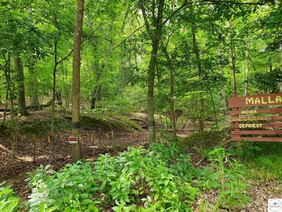 Triple Cove Ln, Climax Springs, MO, 65324