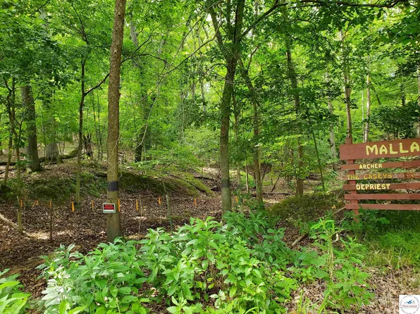 Triple Cove Ln, Climax Springs, MO 65324