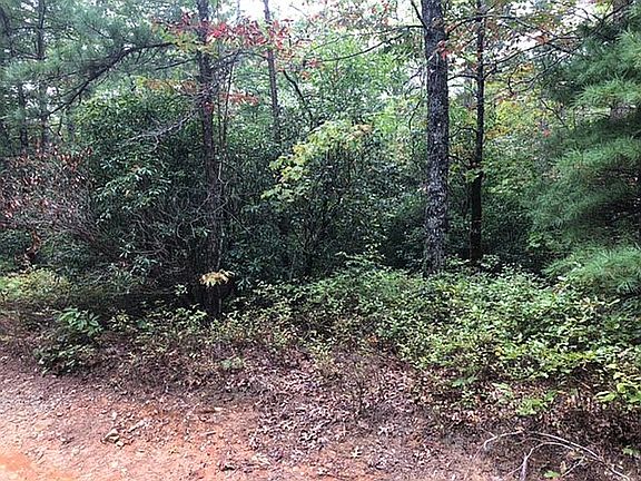 View from Mule Branch Rd.