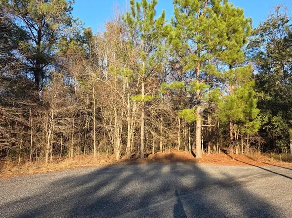 Na Pine Trl, Sylvester, GA 31791