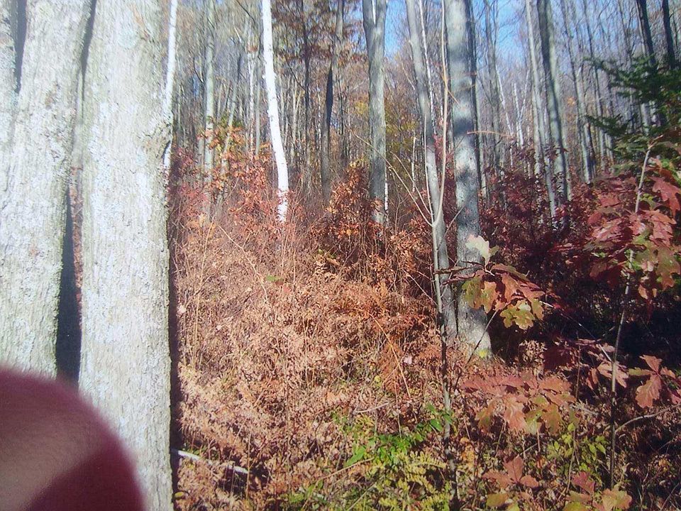 1st image of 1890 Autumn Dr