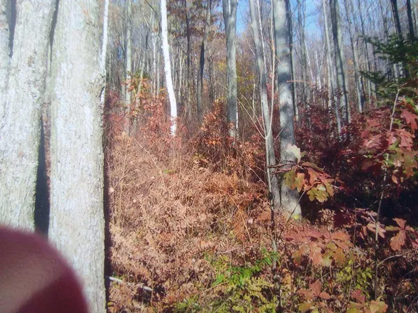 1890 Autumn Dr, Saint Helen, MI 48656