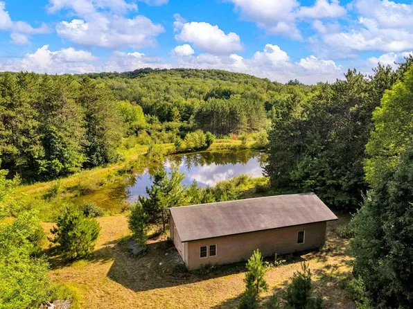 10298 DABROWSKI LANE, Pittsville, WI 54466