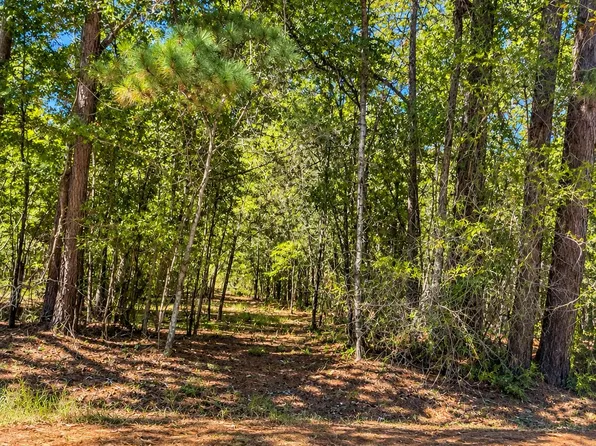 8419 Jefferies Hwy, Walterboro, SC 29488