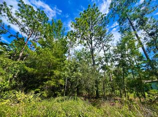 19 Sanders Cir, Homosassa, FL 34446