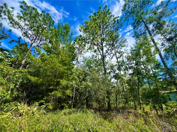 19 Sanders Cir, Homosassa, FL 34446