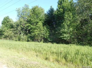 0 Washington Rd, Carsonville, MI 48419