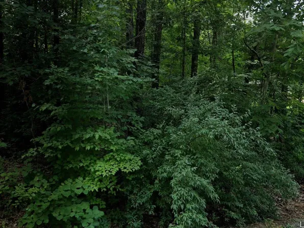 27 Winnebago Cir, Cherokee Village, AR 72529