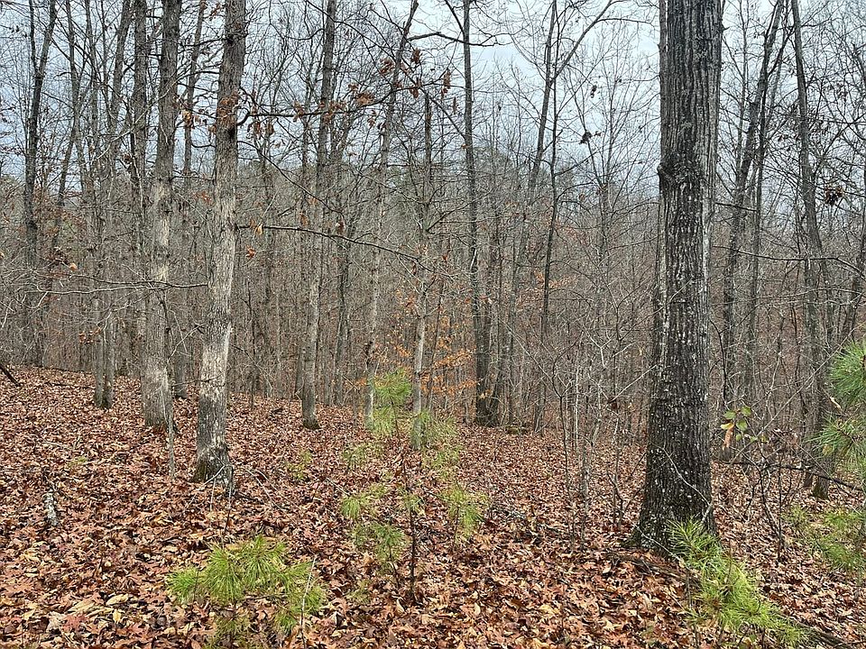 1st image of 0 Madison 244/county Rd #224