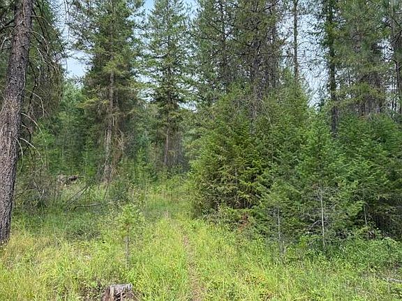 5th image of 18XX Dry Creek Rd