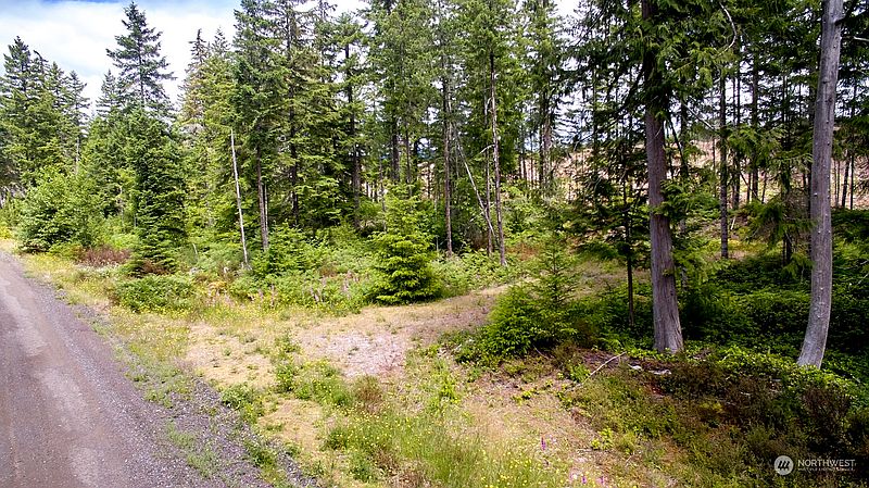 4th image of 1 Lodgepole Lane