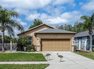 8415 Tarocco Ct, Land O Lakes, FL 34637