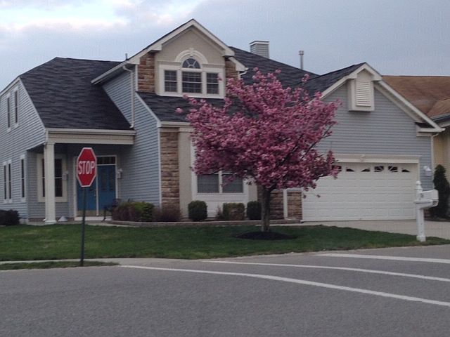 1st image of 36 Sea Girt Ln