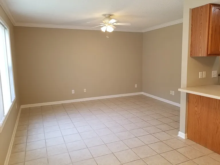 LIVING ROOM VIEW FROM DINING AREA