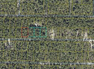 LOT 46 W Black Cherry Dr, Defuniak Springs, FL 32433